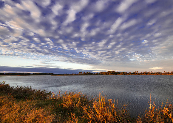 Late afternoon, Chincoteague