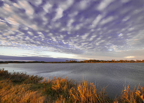 Late afternoon, Chincoteague