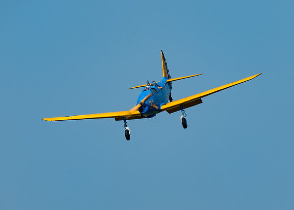PT-19