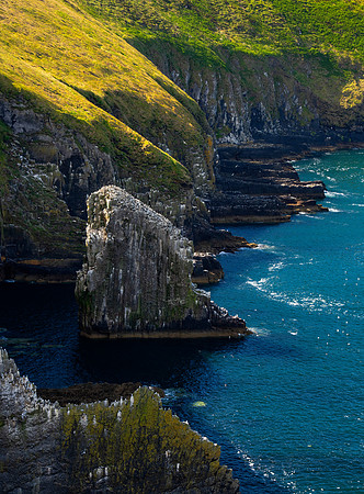 Old Head of Kinsale