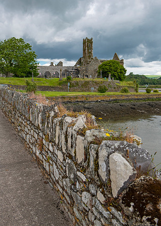 Ruins of Franciscan Friary, Timoleague