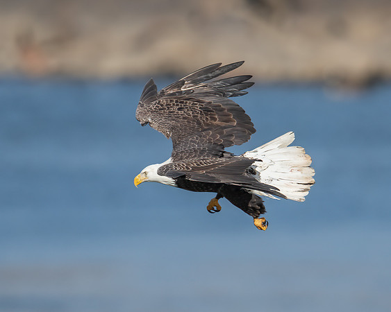 Gliding into an attack
