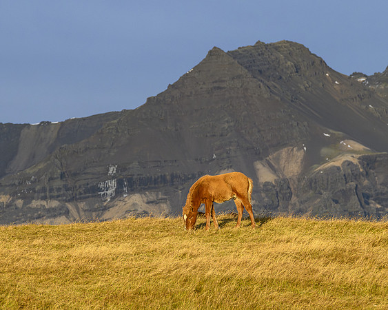 Along the southern coast near Austurvegur