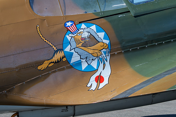 Fuselage insignia (China Air Task Force)  - P-40M Warhawk