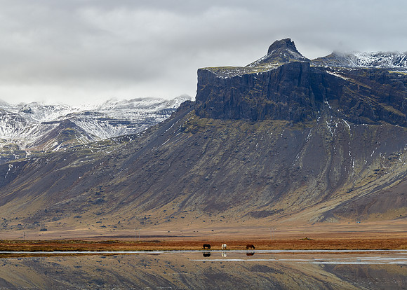 West coast (Snæfellsnes Peninsula)